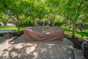 B.F. - 5498 Fawnbrook Ln, Dublin-79