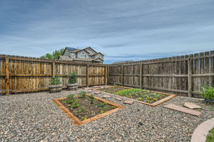  Photo 35