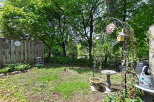  Photo 51