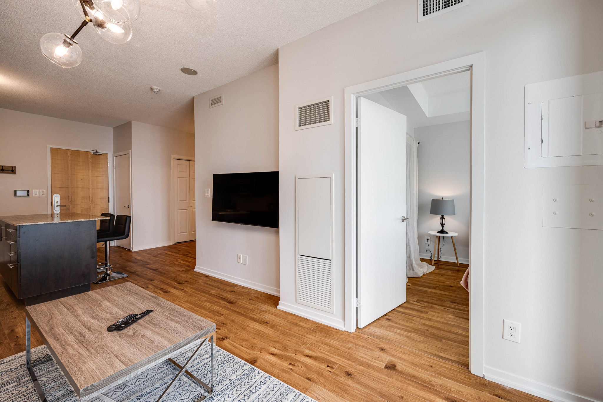 Toronto property showcase — delivered property photograph 13