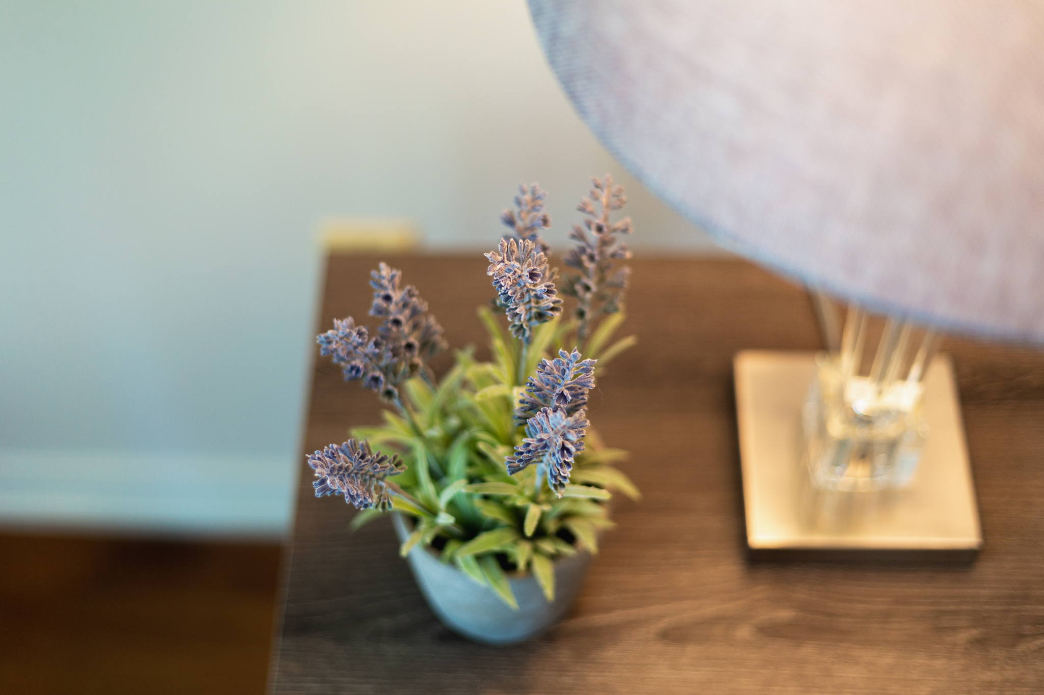 Toronto property showcase — delivered property photograph 15