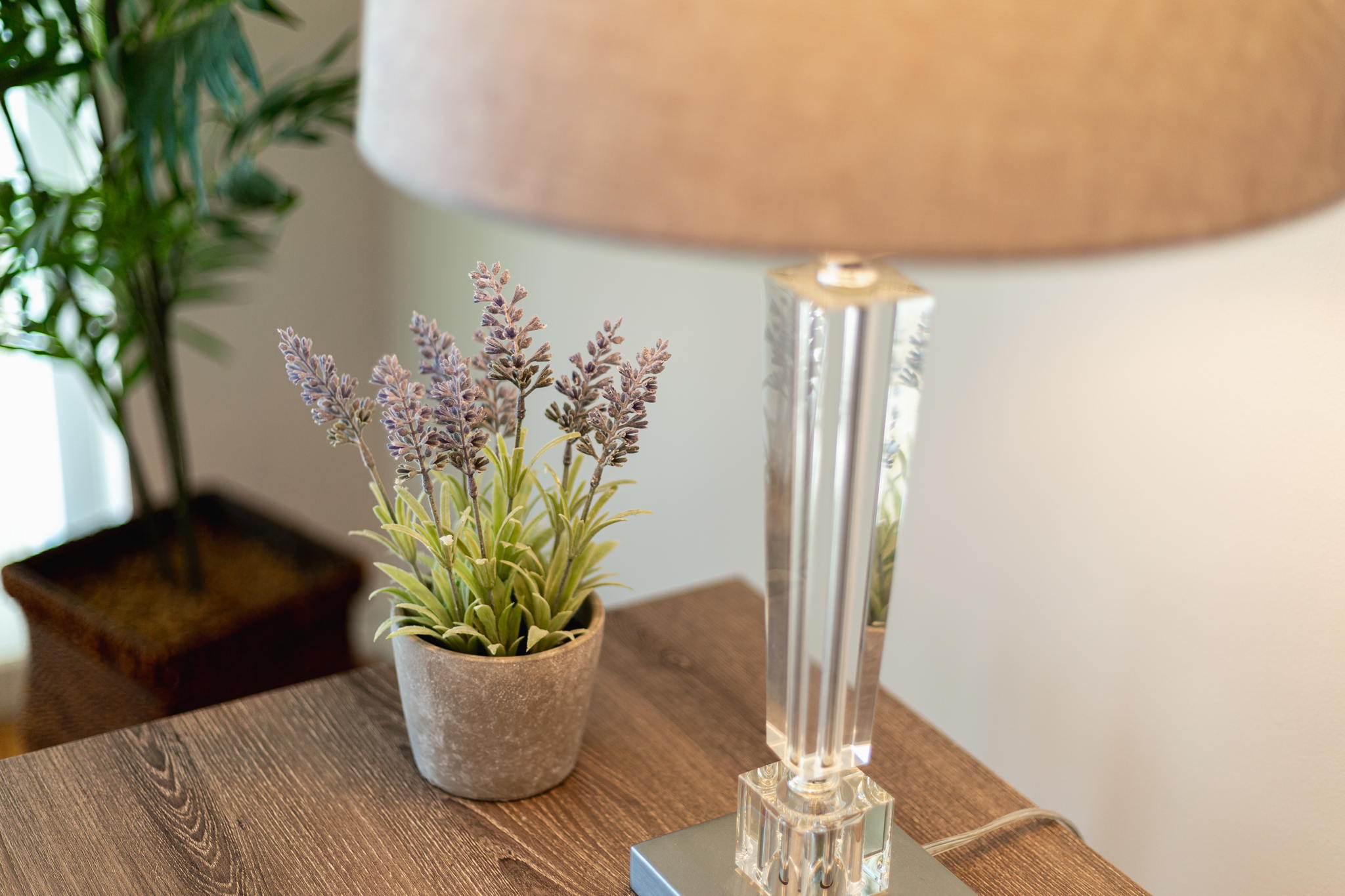 Toronto property showcase — delivered property photograph 14