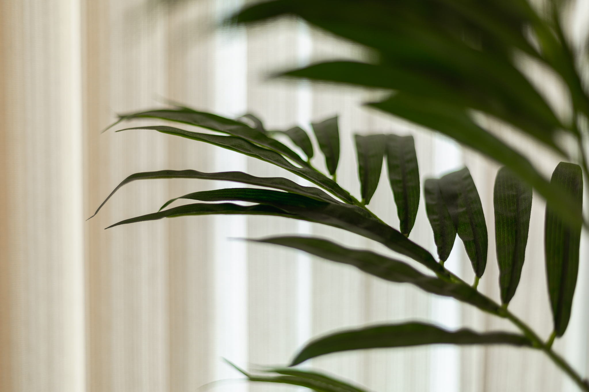 Toronto property showcase — delivered property photograph 16