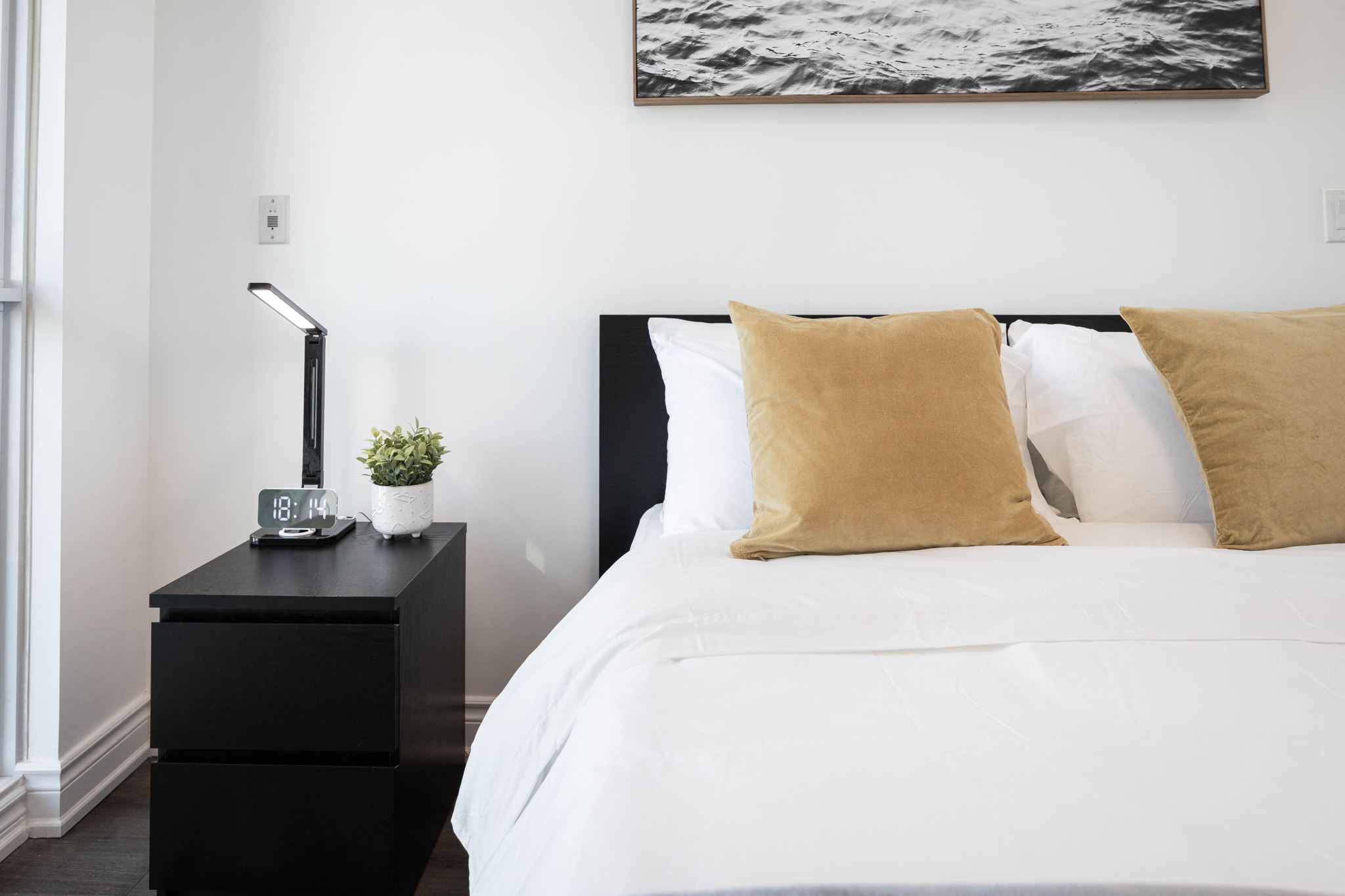 Toronto property showcase — delivered property photograph 33