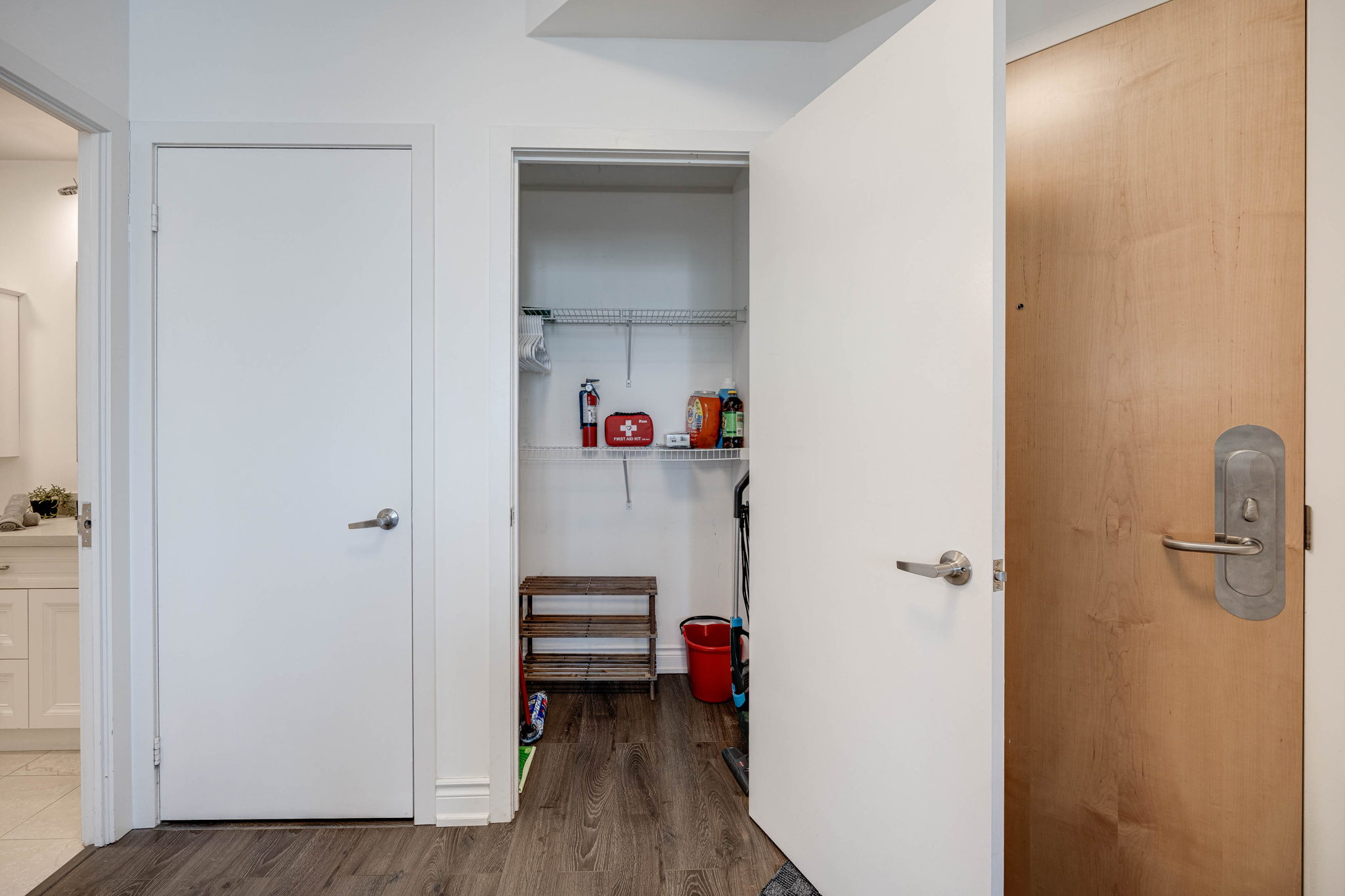 Toronto property showcase — delivered property photograph 19