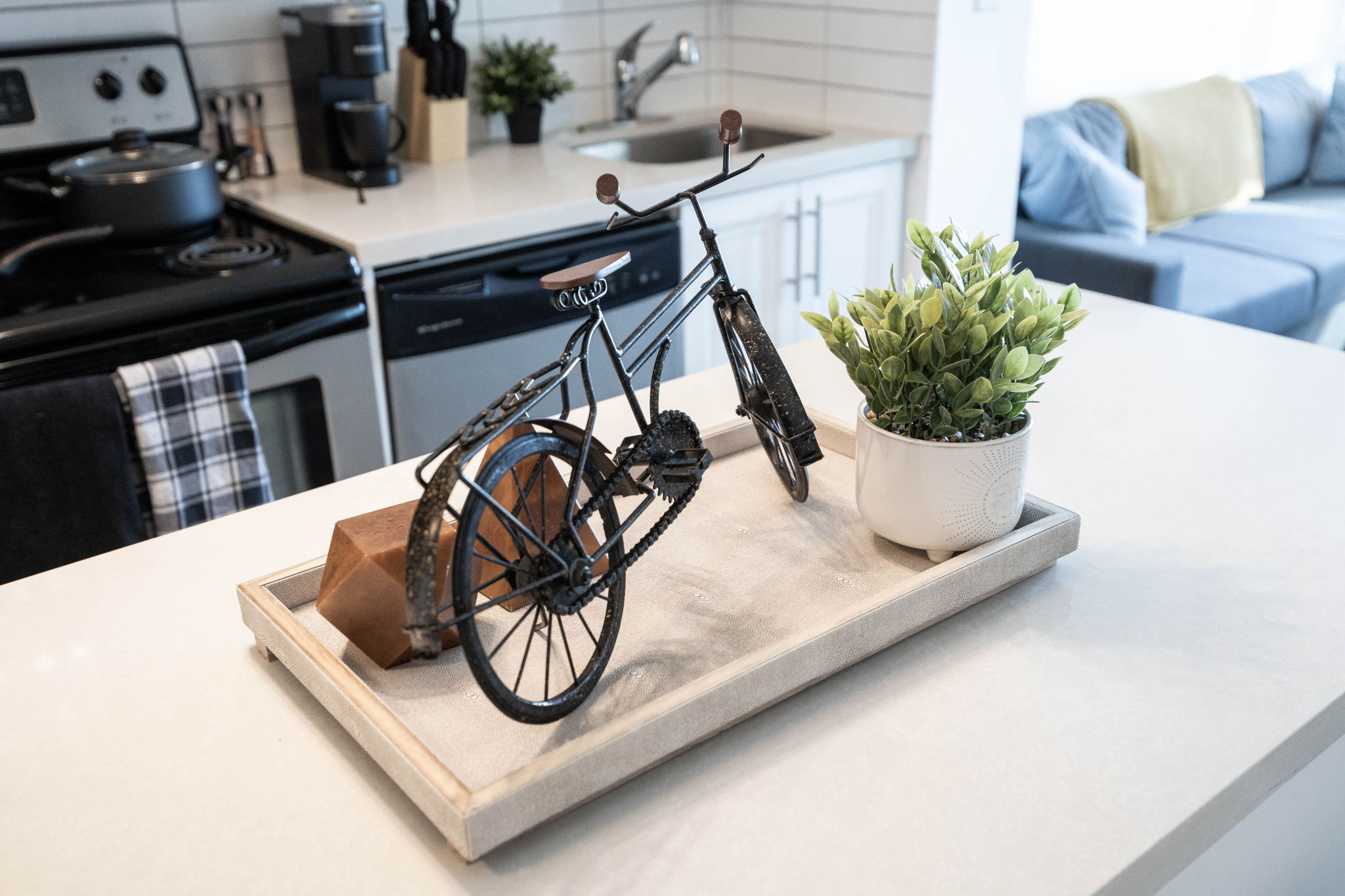 Toronto property showcase — delivered property photograph 20