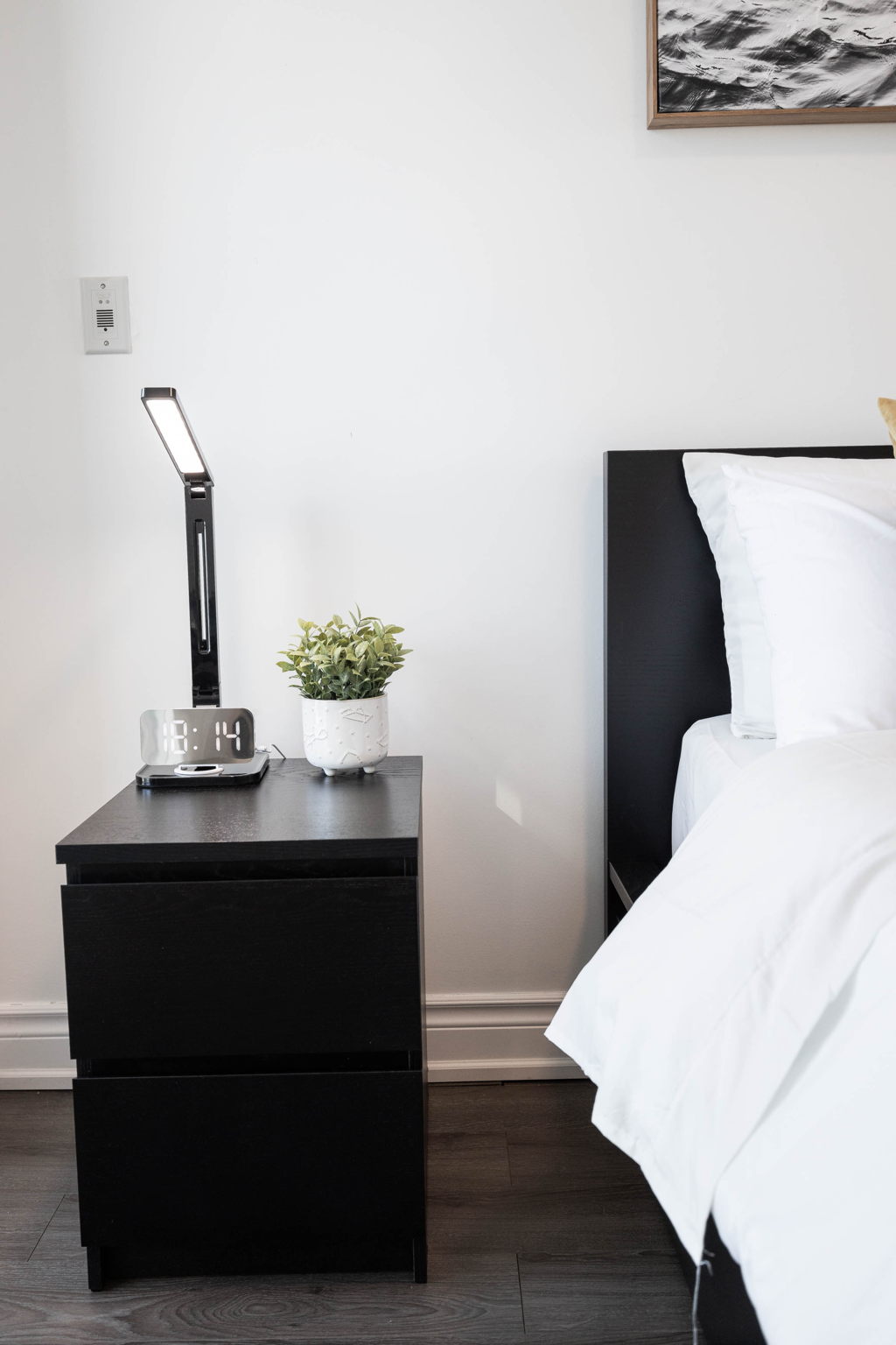 Toronto property showcase — delivered property photograph 31