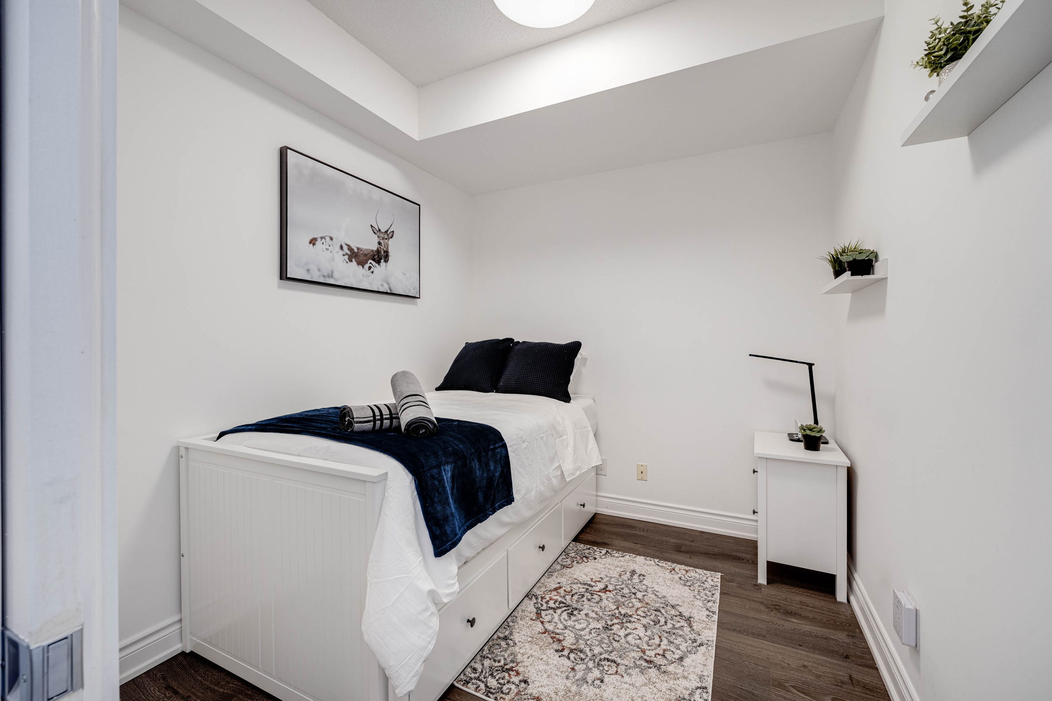 Toronto property showcase — delivered property photograph 14