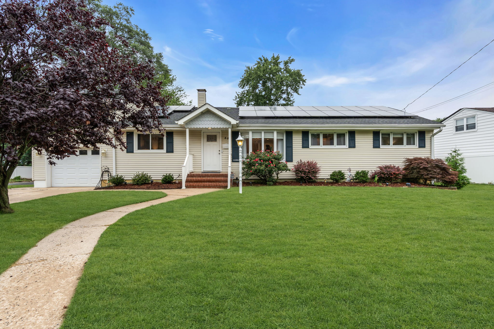  Photo 53