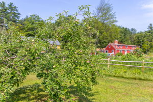  Photo 44