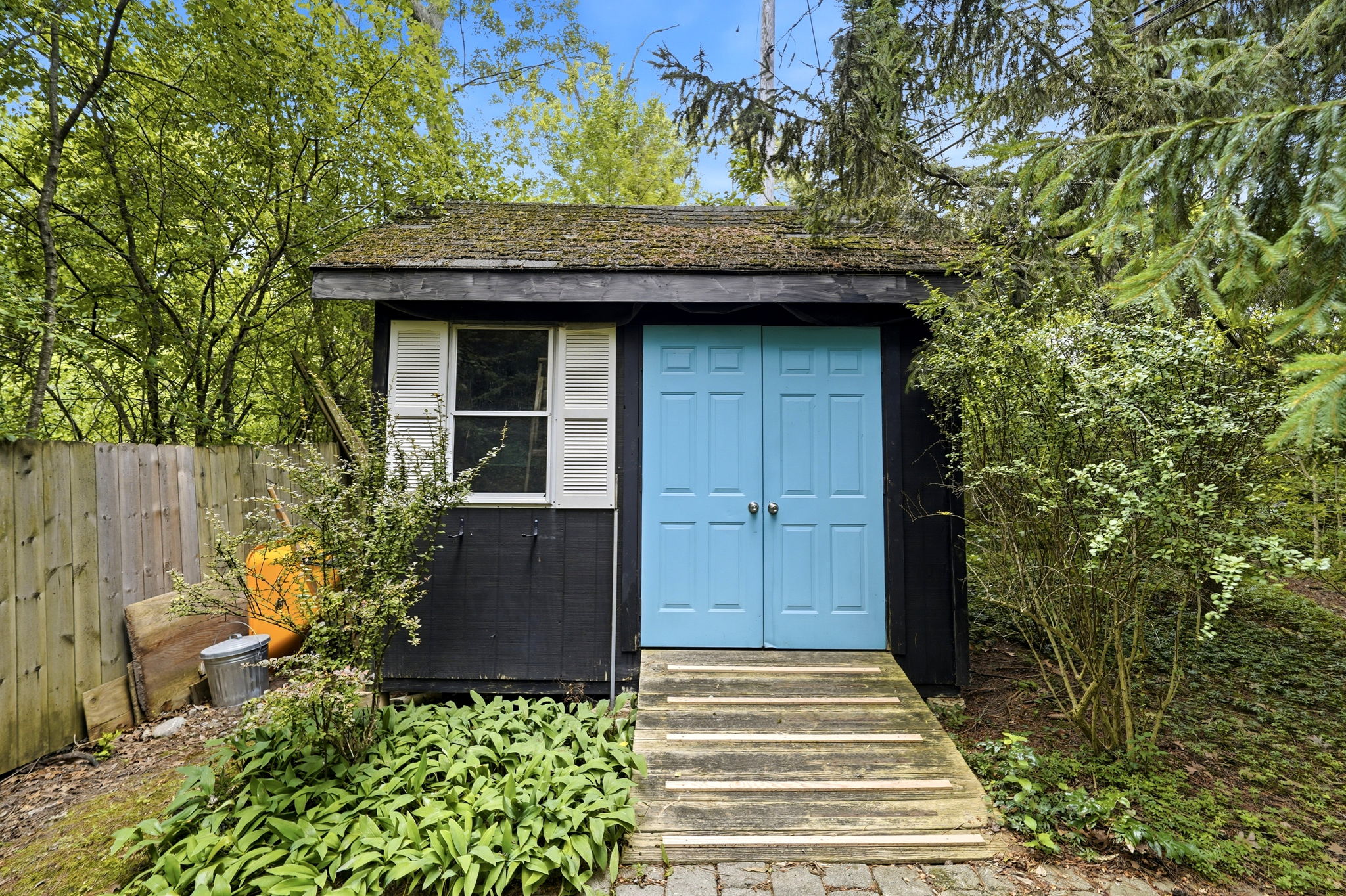  Photo 49