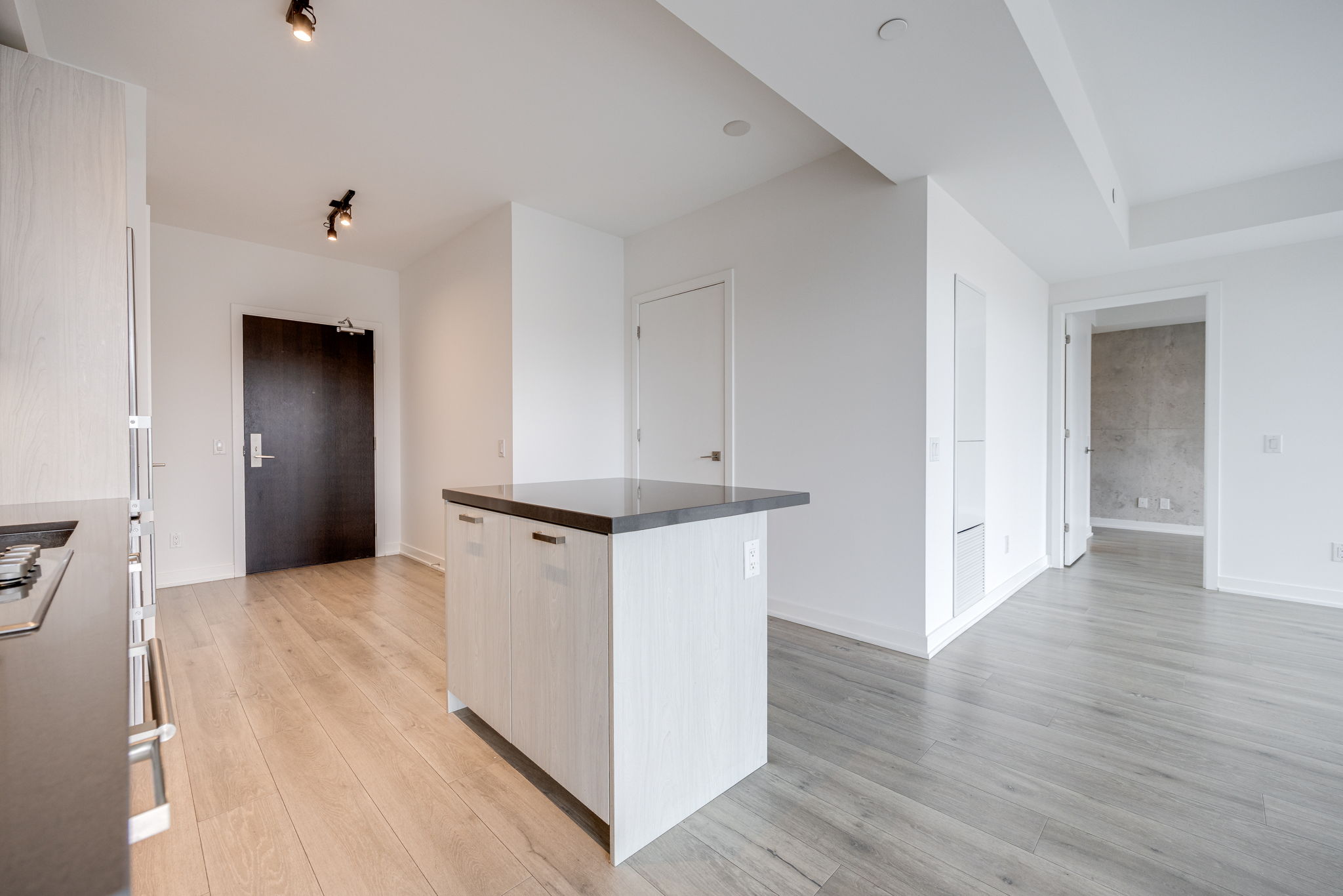 Toronto property showcase — delivered property photograph 9