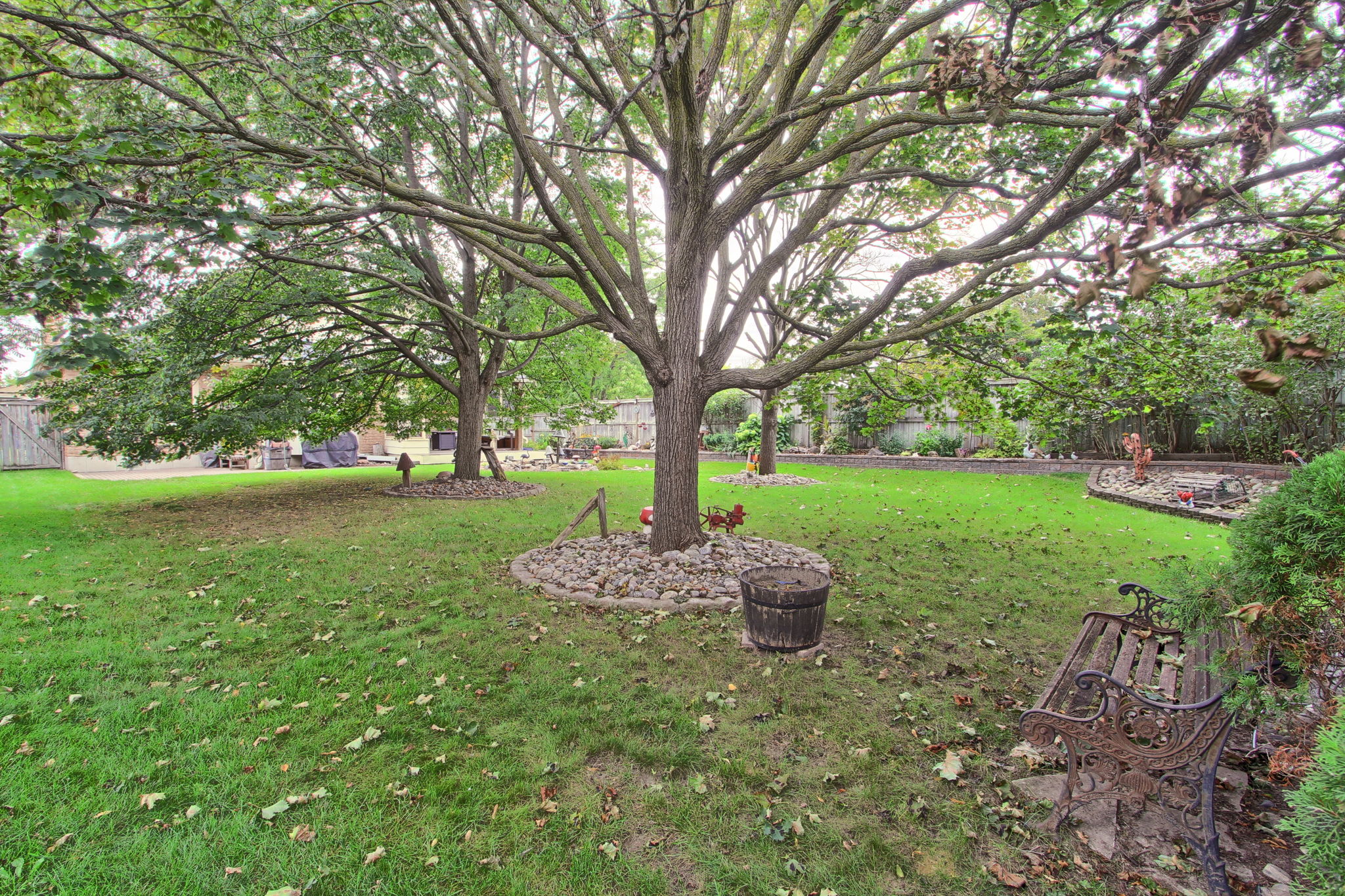  Photo 45