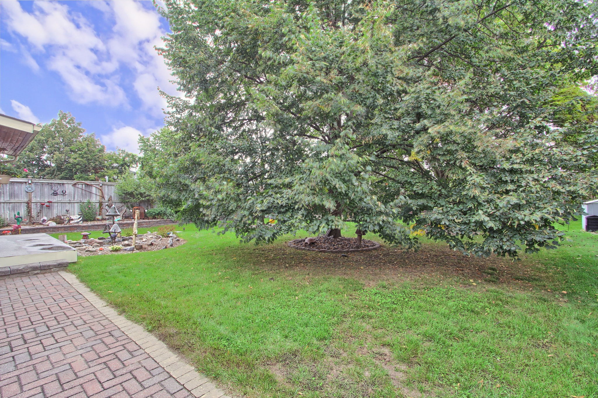  Photo 46