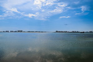 Backyard Water View1