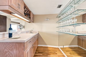 Wet Bar2