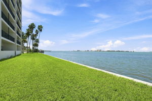 Backyard5