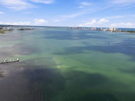 Aerial (8)