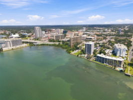 Aerial (25)