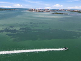 Aerial (31)