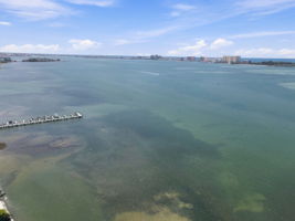 Aerial (44)