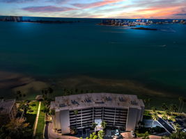 Aerial (1)