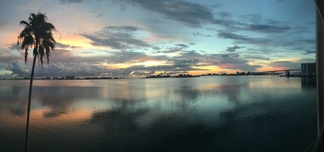 IMG_3448