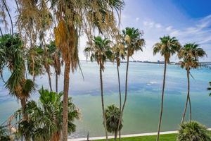 Balcony View1