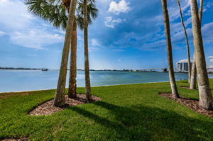 Backyard4