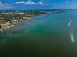 DJI_0493