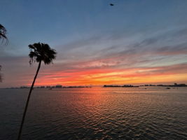 IMG_7045