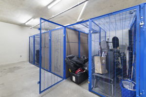  Photo 44