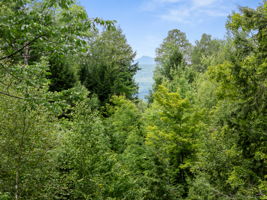  Photo 54