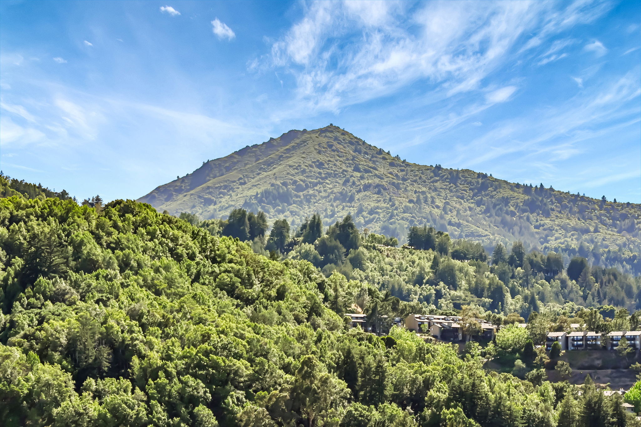 066_55 Tamalpais Rd
