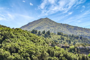 066_55 Tamalpais Rd
