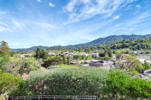 067_55 Tamalpais Rd