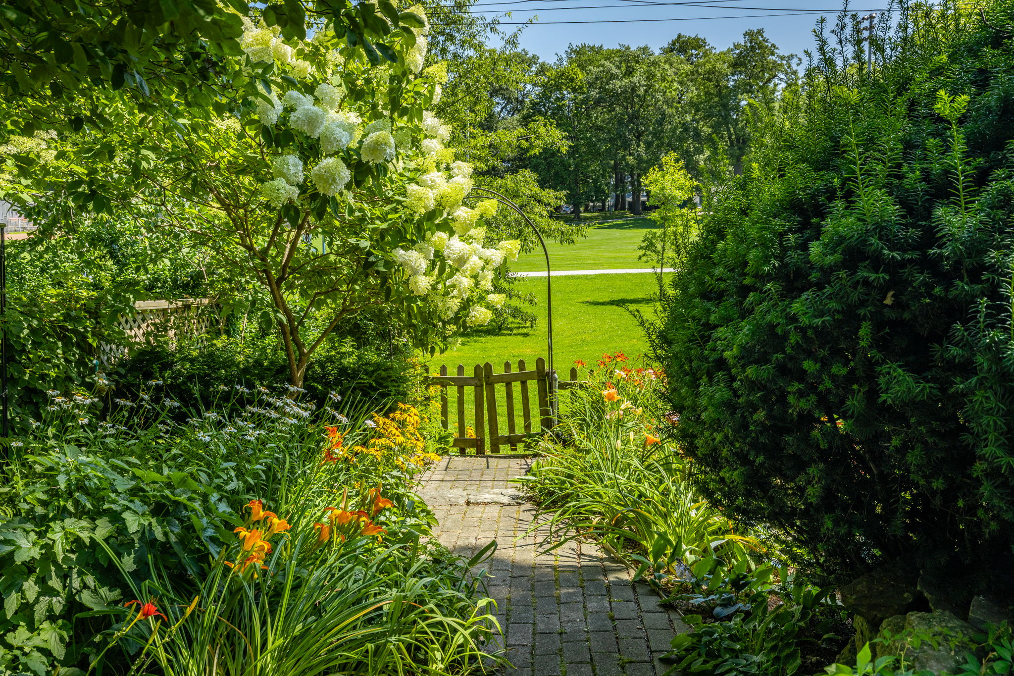 Property in Toronto — delivered property photograph 14