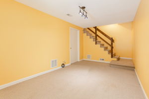 Flex Space in Lower Level/Basement