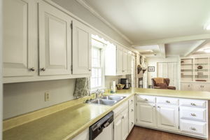  Photo 41