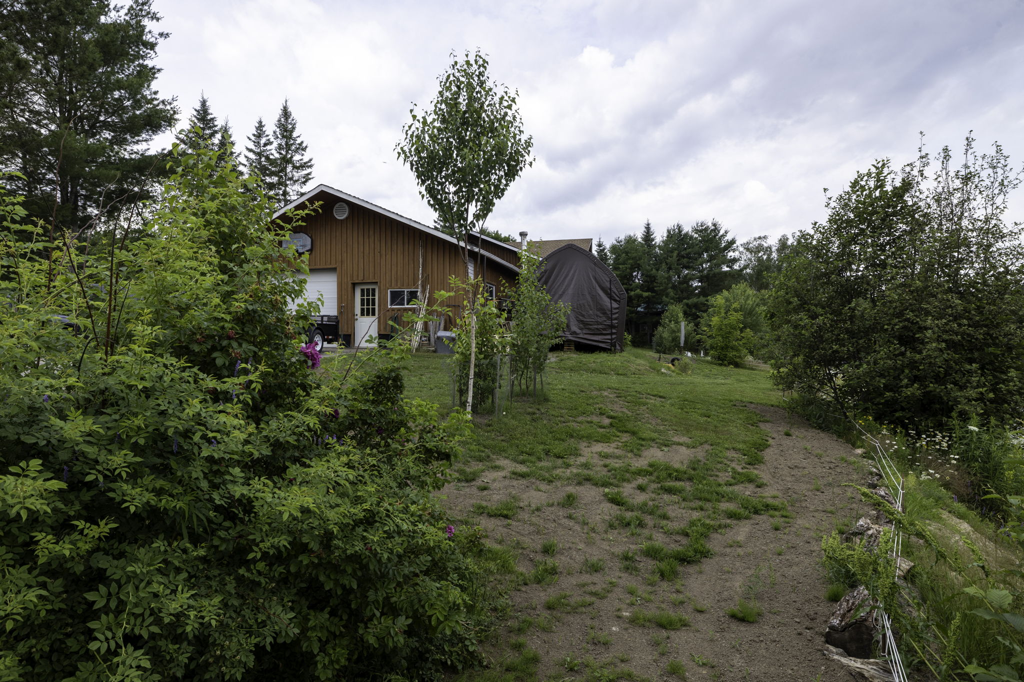  Photo 31