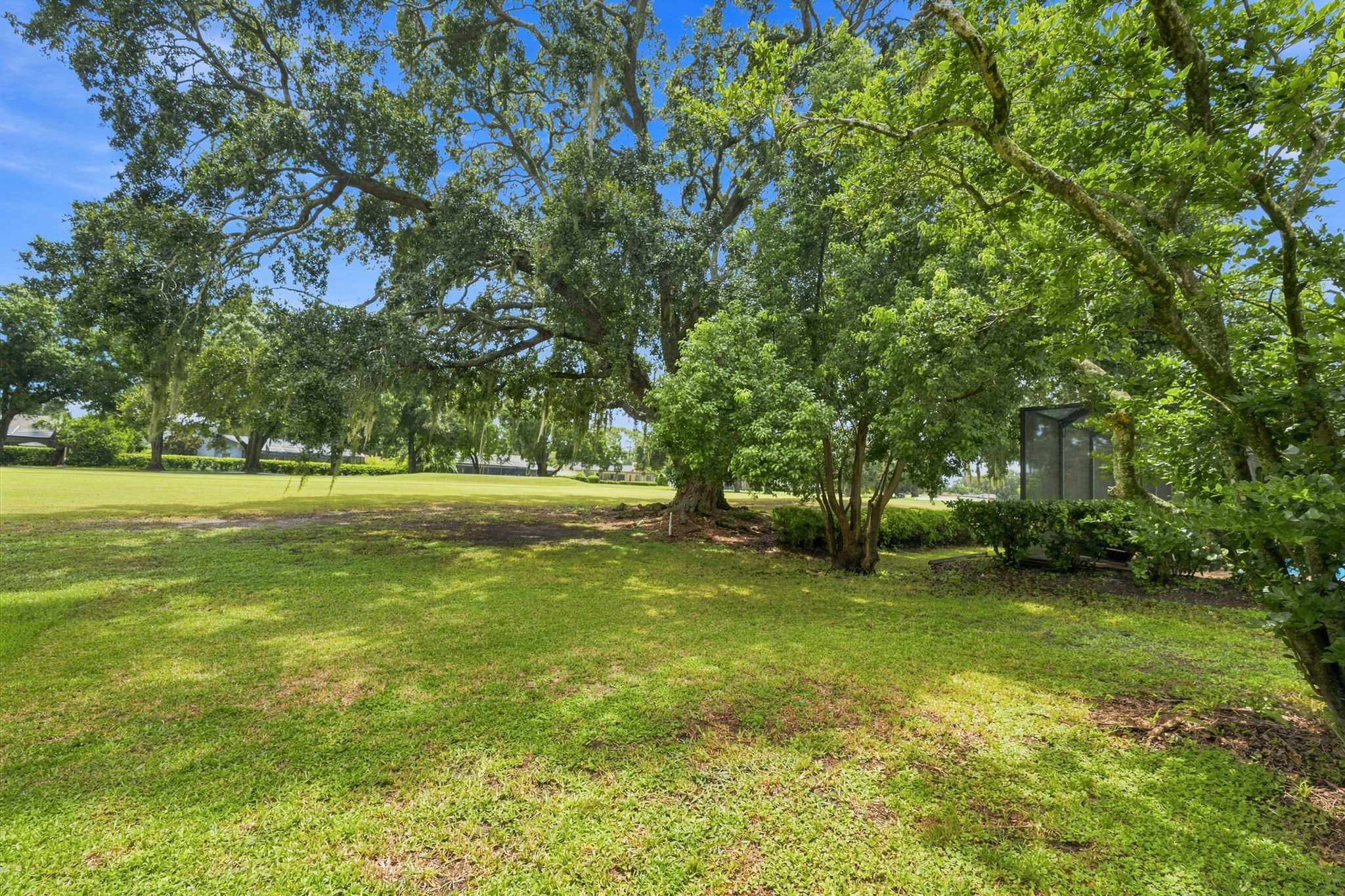 Backyard1