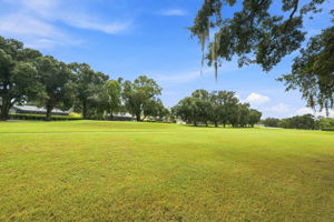 Golf Course1