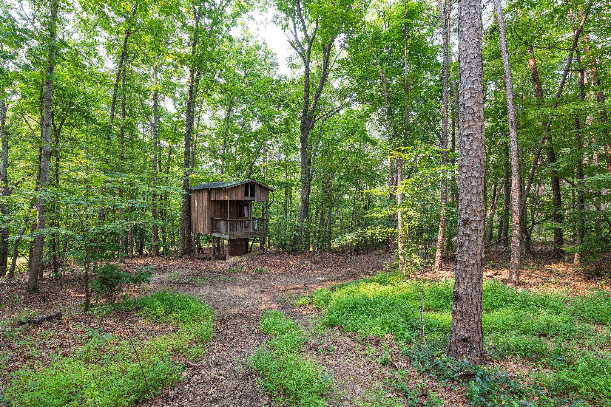 550 Pannel Rd-39
