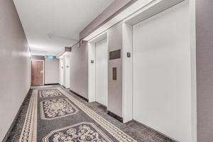4-elevators1