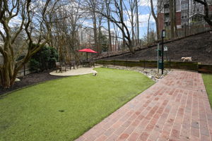  Photo 38