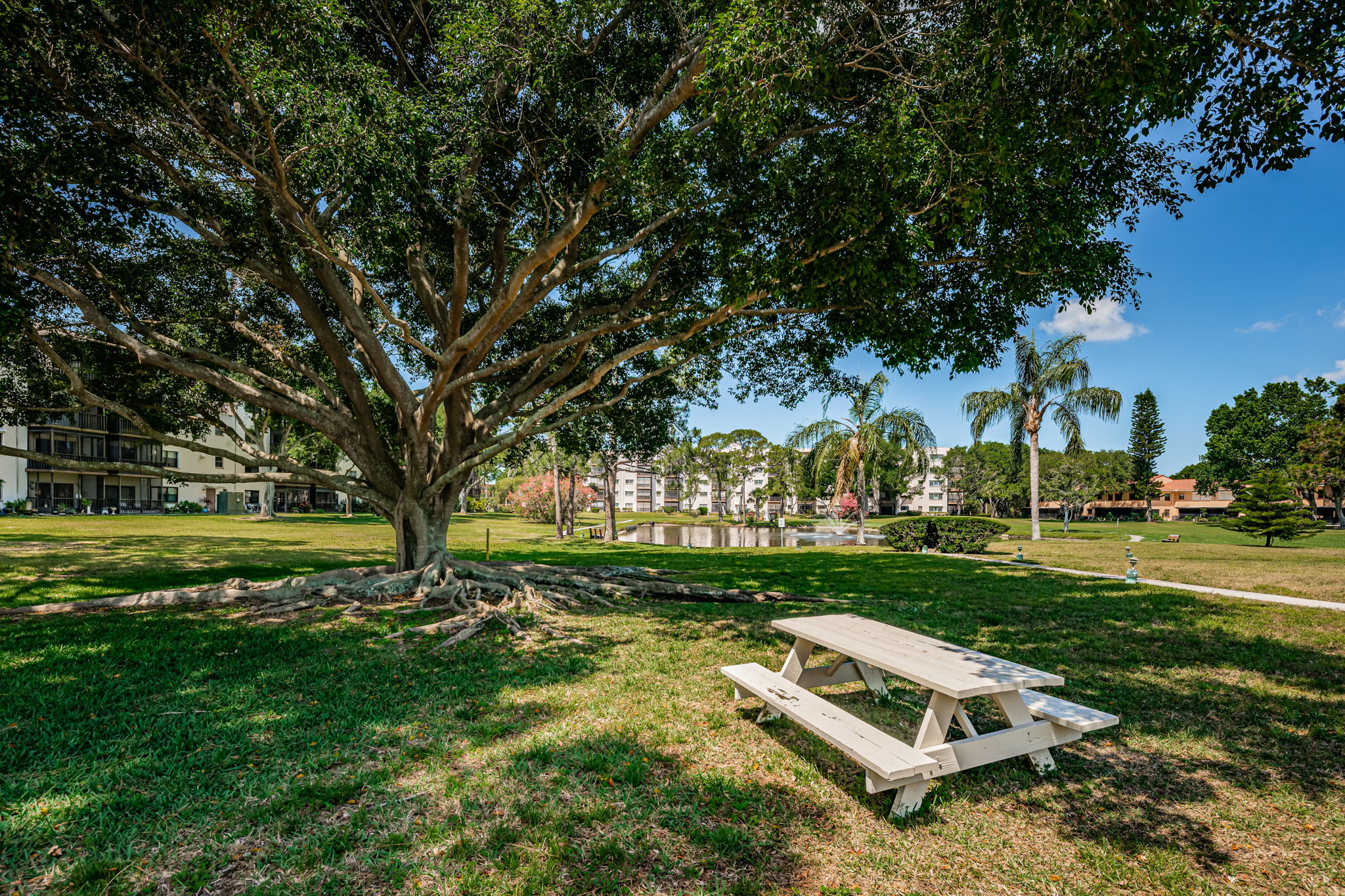 Oleander Lake Center5 Picnic Area