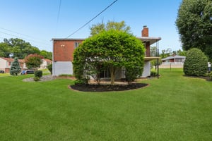 Daybreak Ter-L0909-033.jpg