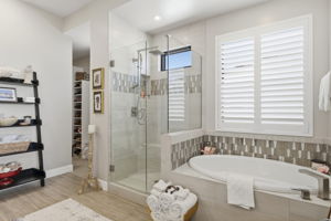 Primary Bathroom 2