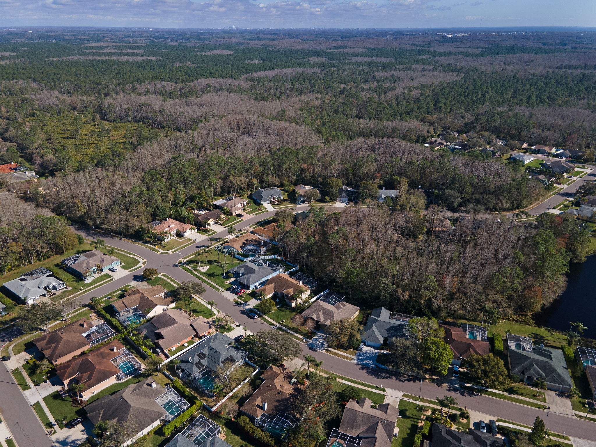 Aerial (9)