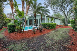 Backyard3